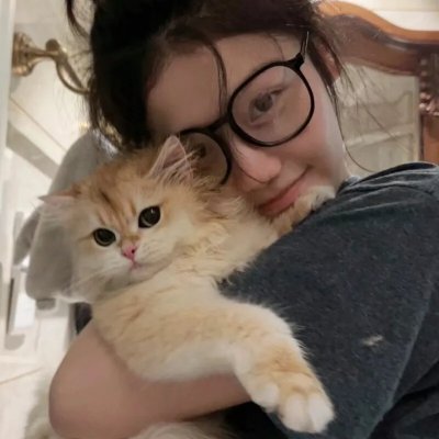 为什么猫都叫不来