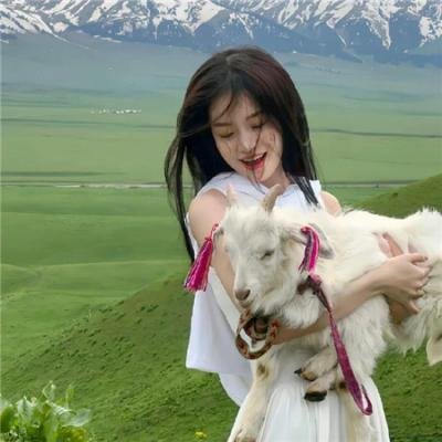叶问2:宗师传奇
